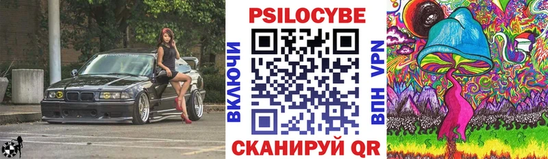 Псилоцибиновые грибы Cubensis  Дзержинский 